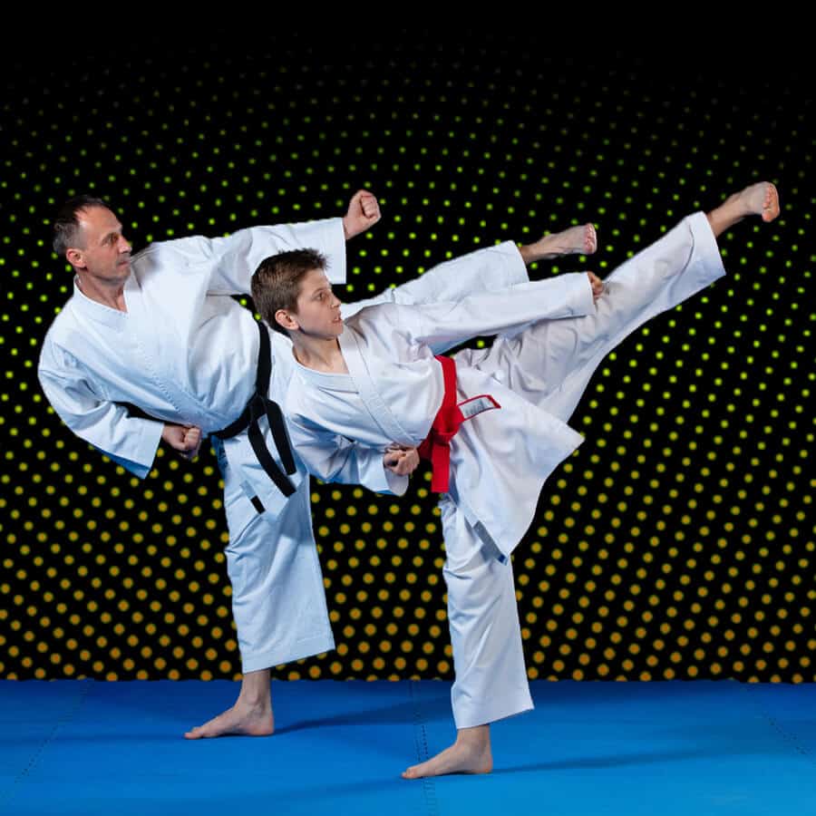 Martial Arts Lessons for Families in Rainier WA - Dad and Son High Kick