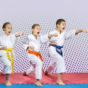 Martial Arts Lessons for Kids in Rainier WA - Punching Focus Kids Sync